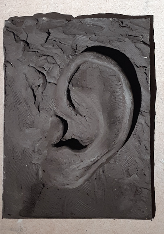 Début de travail sur un oreille. Dans certains cours, sont proposés des mises en pratique thématiques. Modelage terre. Axelle Perret, Toulouse.